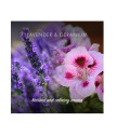  Lavender & Geranium Juuksepalsam Seep 95g