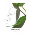 B. Well Tea Tree and Coconut Clean Deodorant 52g