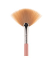  L806 Fan Brush