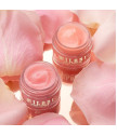 Lip Scrub Rose Sugar