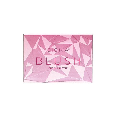  Blush Palett (6 värvi)