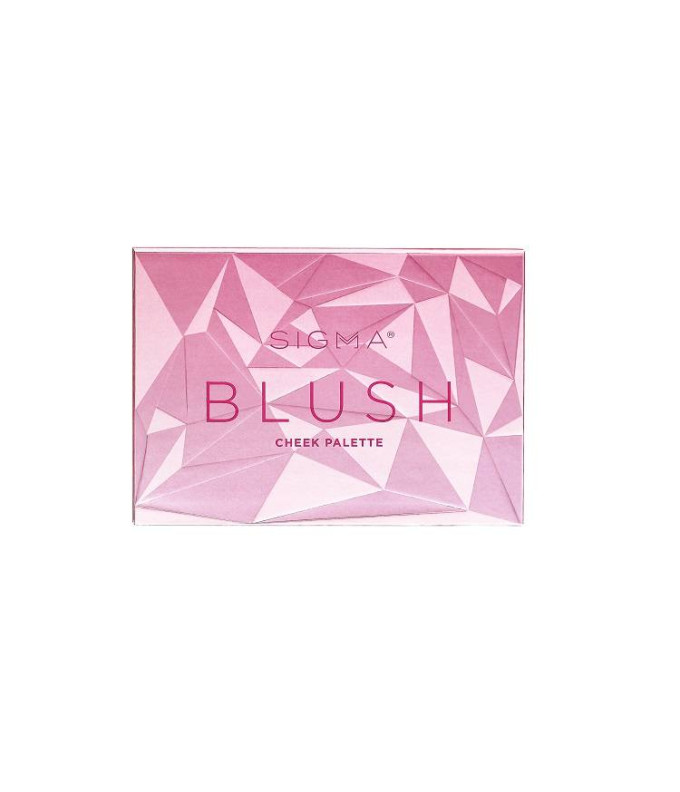  Blush Palett (6 värvi)