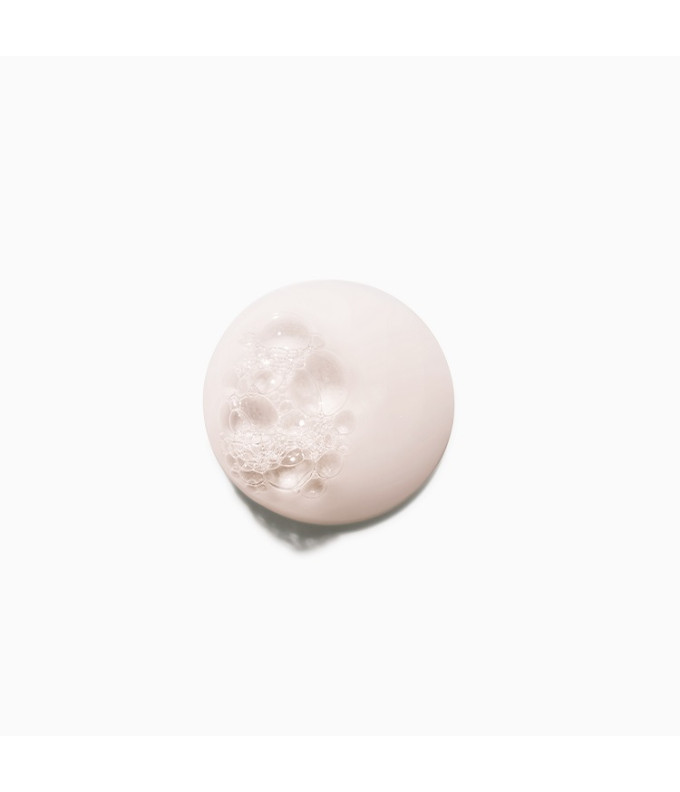  Chroma Absolu Niisutav Kaitsešampoon 250ml