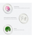 Wonder Ceramide Mocchi Toner 500ml Wonder Ceramide Mocchi Toner 500ml
